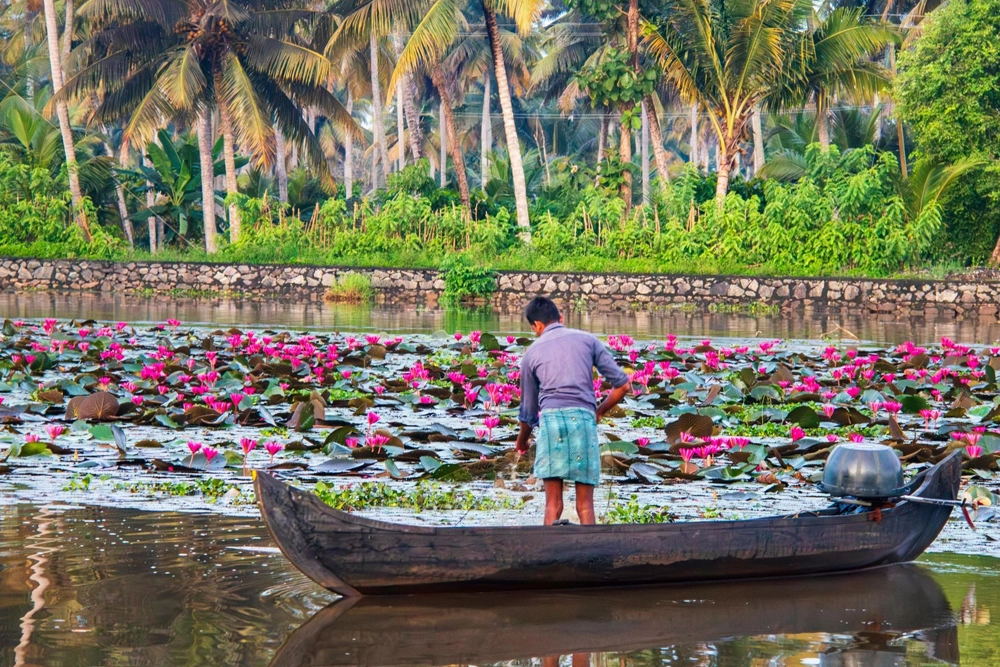Kerala Tour Packages