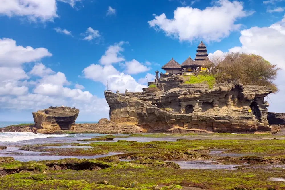 Discovery Tour Of Bali | Nexurgo Technologies