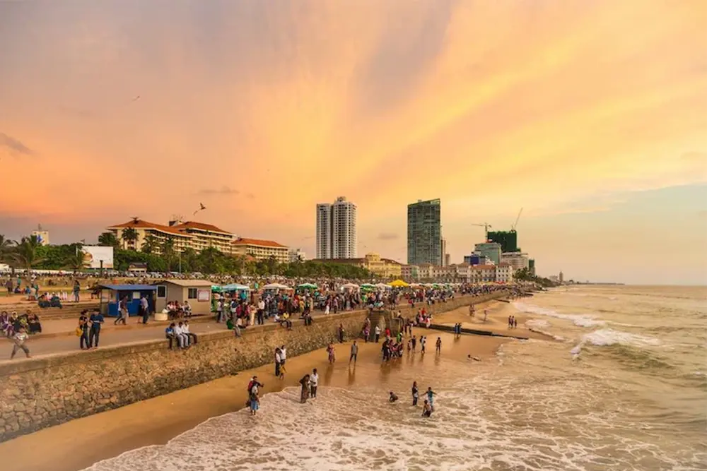 City of Dreams | Nexurgo Technologies